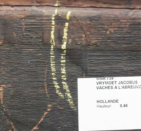 Vaches à l'abreuvoir, image 9/15