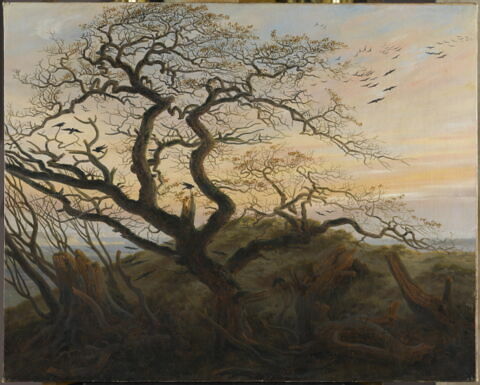 L'Arbre aux corbeaux, image 2/3