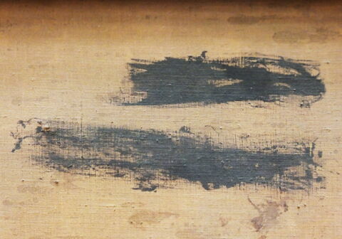 Marine, image 12/20