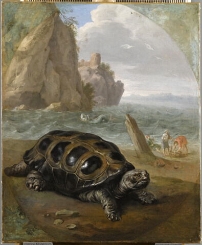 Tortue sur un bord de mer, avec trois pêcheurs, image 1/1