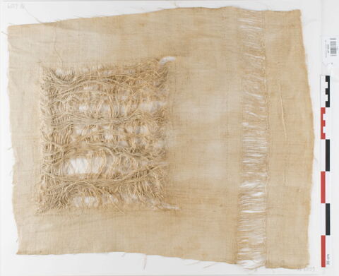 tissu ; fragment