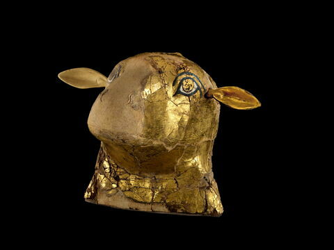 momie de bélier, image 4/8