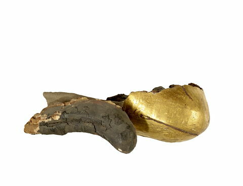 momie de bélier, image 3/3