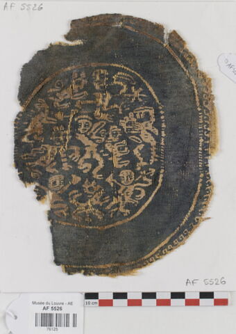 orbiculus ; fragment