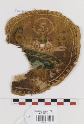 orbiculus ; fragment