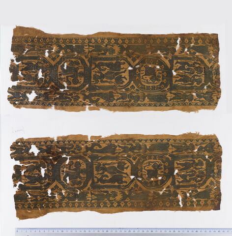 clavus ; fragment
