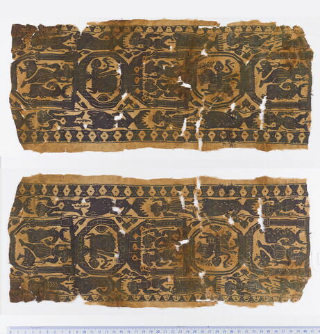 clavus ; fragment
