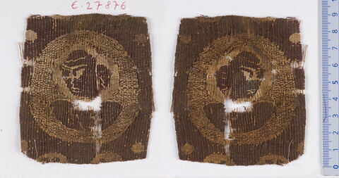 tabula  ; fragment