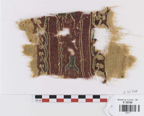clavus ; fragment