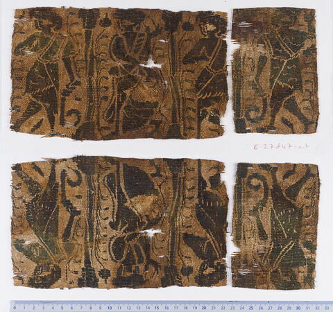 bande d'encolure ; fragment