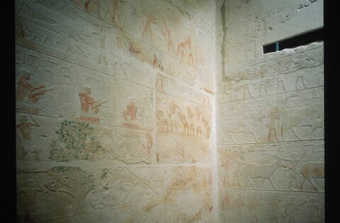 Mastaba d'Akhethétep, image 57/66