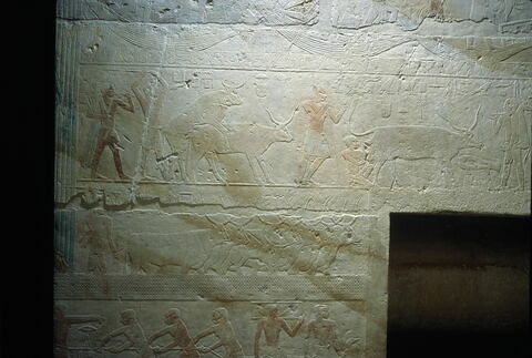 Mastaba d'Akhethétep, image 53/66