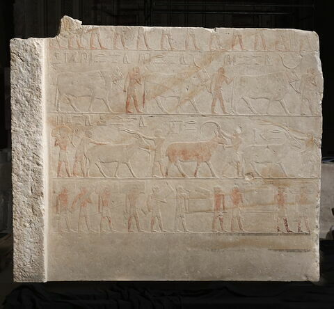 Mastaba d'Akhethétep, image 8/66