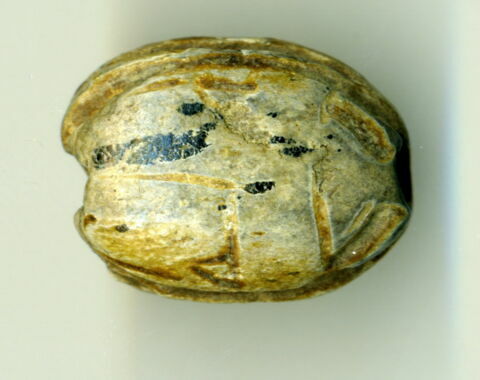 scarabée, image 2/2