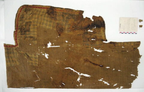 manteau ; fragment, image 2/2