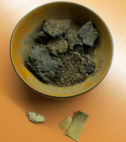 végétal ; figue ; fragments