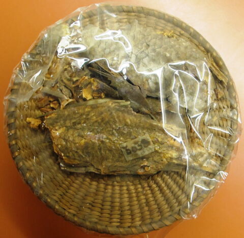 poisson, image 2/2