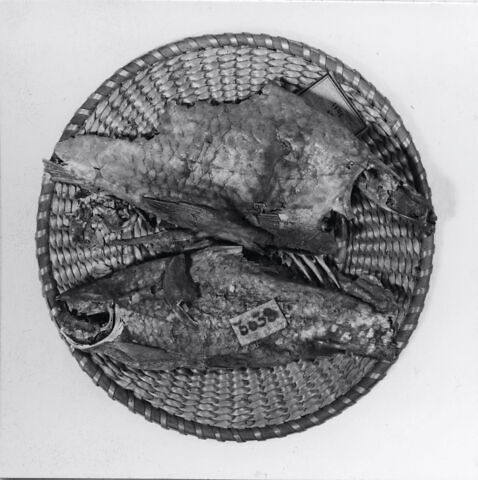 poisson
