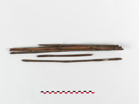 roseau  ; flèche, image 2/2