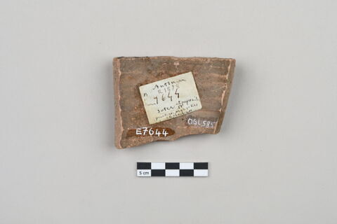 ostracon, image 3/4