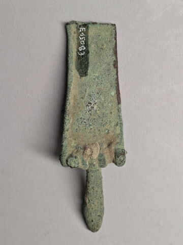 flagellum, image 2/2