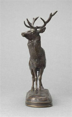 Cerf qui écoute, image 2/5