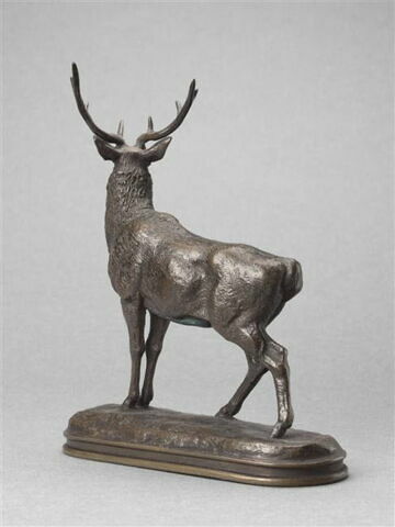 Cerf qui écoute, image 4/5