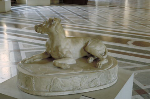 Un chien, image 4/5