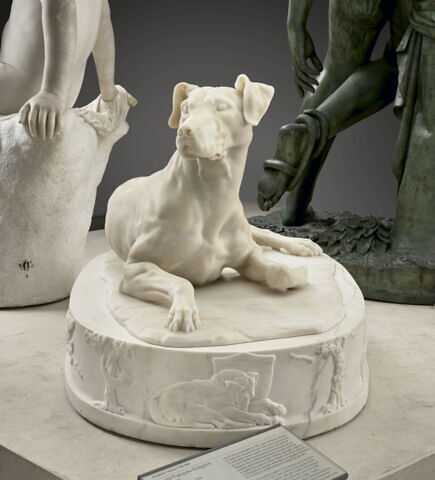 Un chien, image 2/5