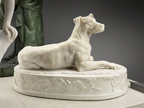 Un chien, image 3/5