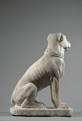 Chien à museau court (dogue ?), image 2/5