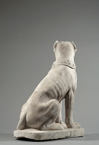 Chien à museau court (dogue ?), image 3/5