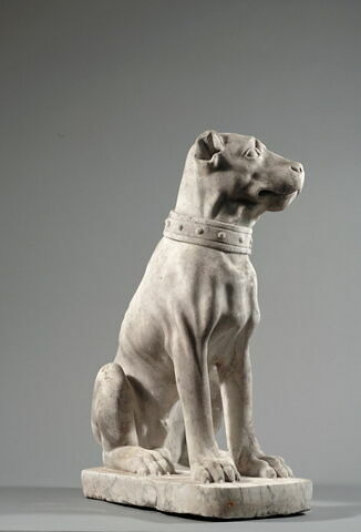 Chien à museau court (dogue ?), image 4/5