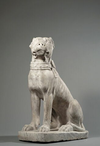 Chien à museau court (dogue ?), image 5/5