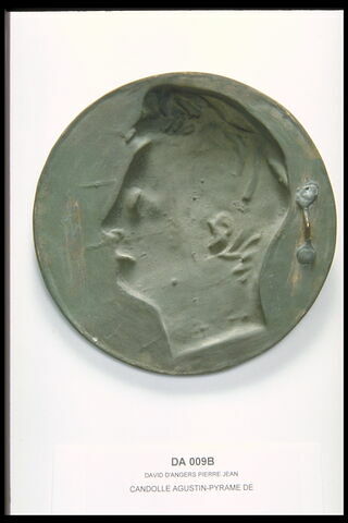 Augustin Pyramus de Candolle, image 2/2