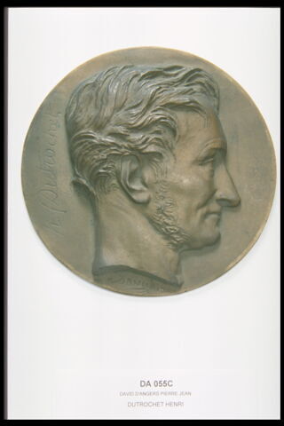 Henri Dutrochet