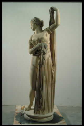 Venus callipyge, image 2/4