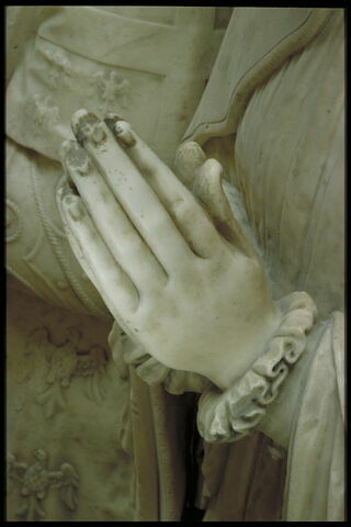 Anne de Montmorency (Chantilly, 1493 - Saint-Denis, 1567), seigneur puis premier duc de Montmorency, connétable de France, image 15/15