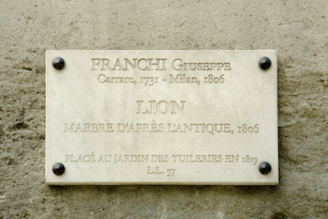 Lion, image 5/11