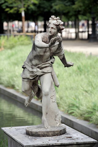 Apollon poursuivant Daphné, image 3/4