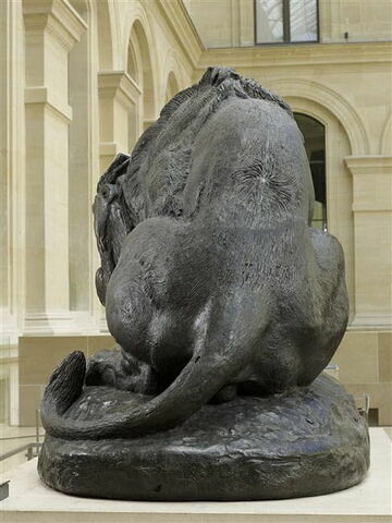 Lion au serpent, image 3/9