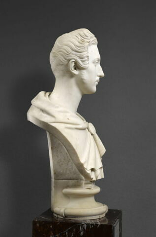 Le Prince Albert de Saxe-Cobourg-Gotha (Château de Rosenau, Thuringe, 1819 - Windsor, 1861), image 2/18