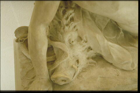 Méléagre mourant, image 19/20
