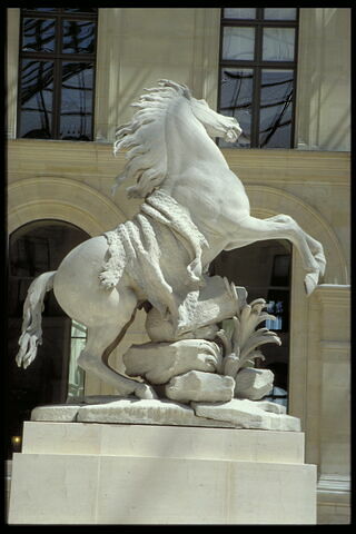 Cheval retenu par un palefrenier, image 9/12
