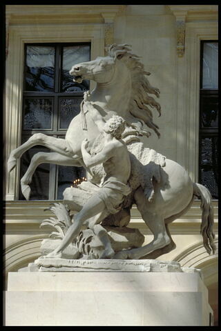 Cheval retenu par un palefrenier, image 11/12