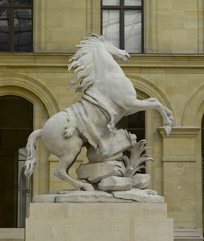 Cheval retenu par un palefrenier, image 6/12