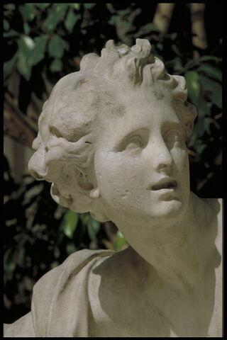 Hippomène, image 11/13