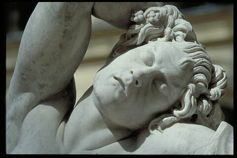 Faune endormi, image 10/11