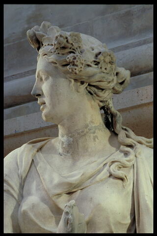 Pomone, image 5/5