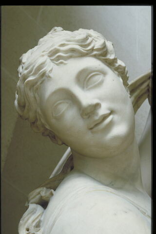 Vénus callipyge, image 11/11